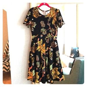 NWOT Lularoe Amelia dress, medium, black floral